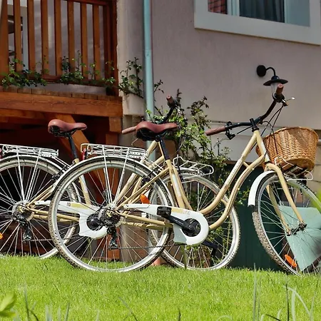 Mustármag * Noszvaj