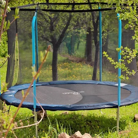 Mustármag Apartamento