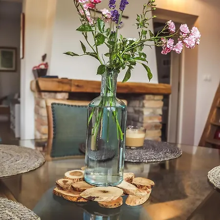 Mustármag Apartamento