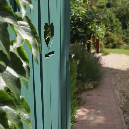 Mustármag Apartamento