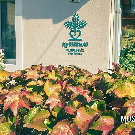 Apartamento Mustármag *
