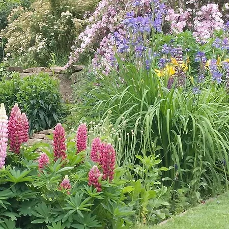 Mustármag Apartamento Noszvaj