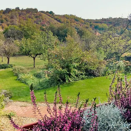 Apartamento Mustármag Noszvaj