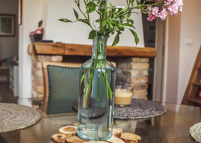 Mustármag Apartman